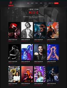 music portfolio image 2